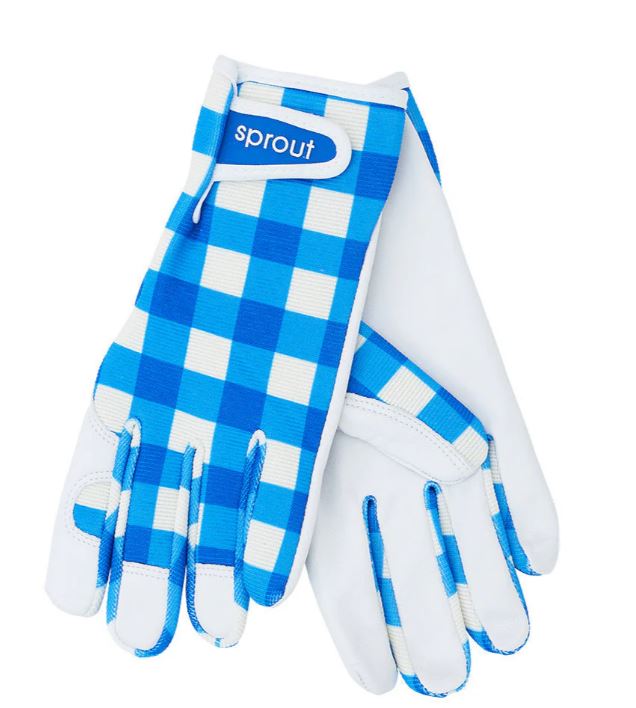 ANNABEL TRENDS - Sprout Goatskin Gloves - Cobalt Check