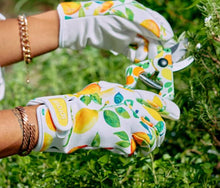 ANNABEL TRENDS - Sprout Garden Gloves - AMALFI CITRUS